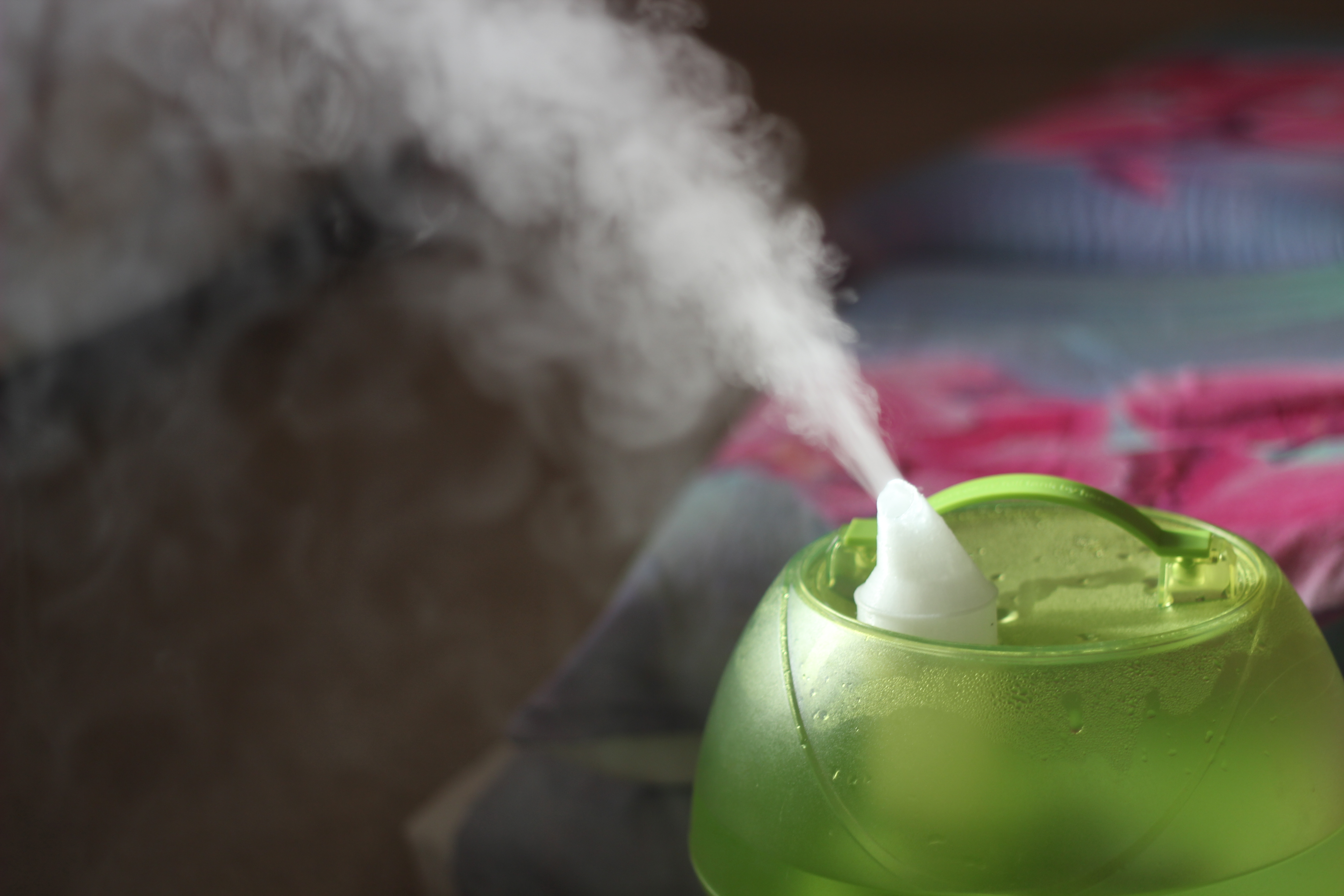 Humidifier director
