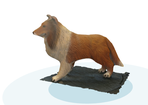 Rough Collie