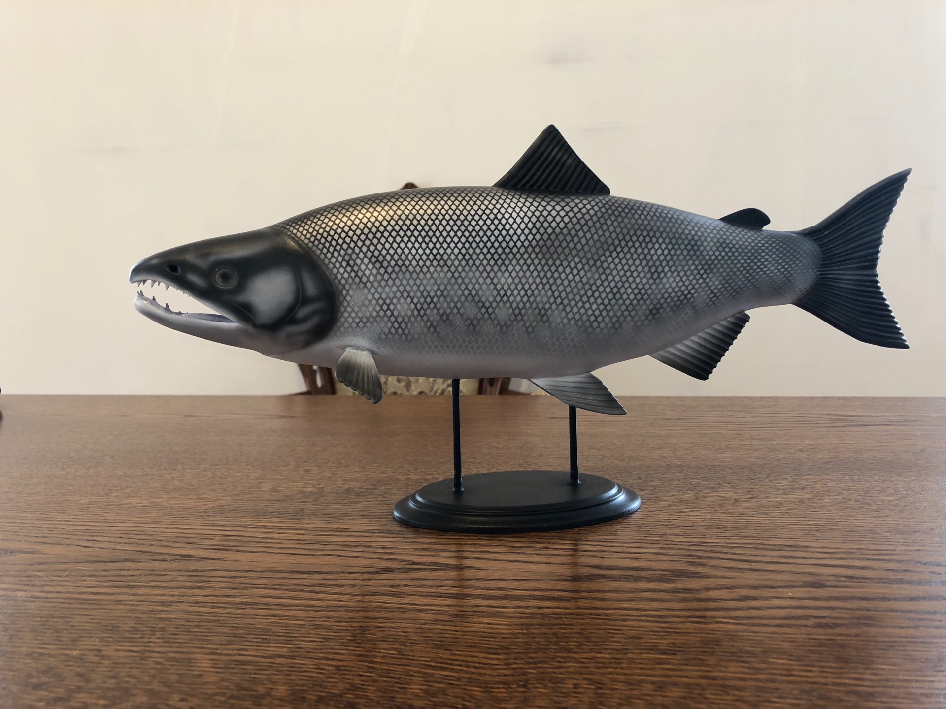 Fish of the salmon family
