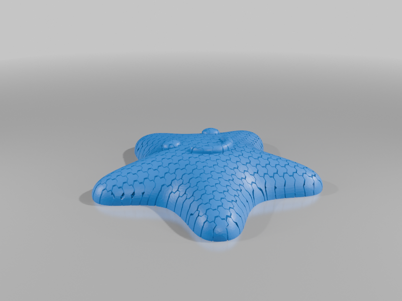 SEASTAR FIDGET (SUPER COOL)