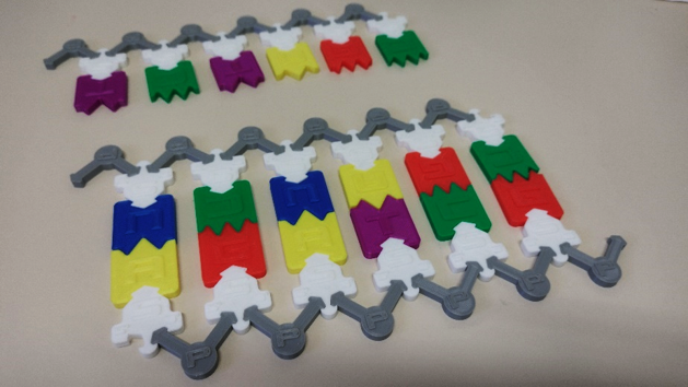 DNA/RNA Educational Set