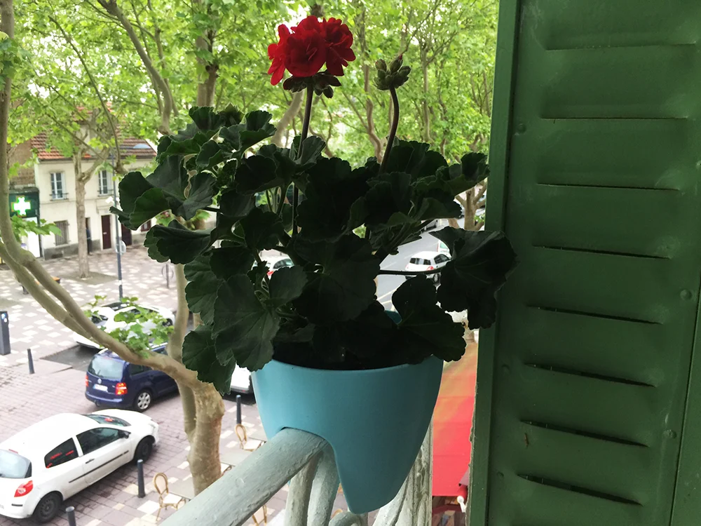 Plant Pot / Hanging Planter