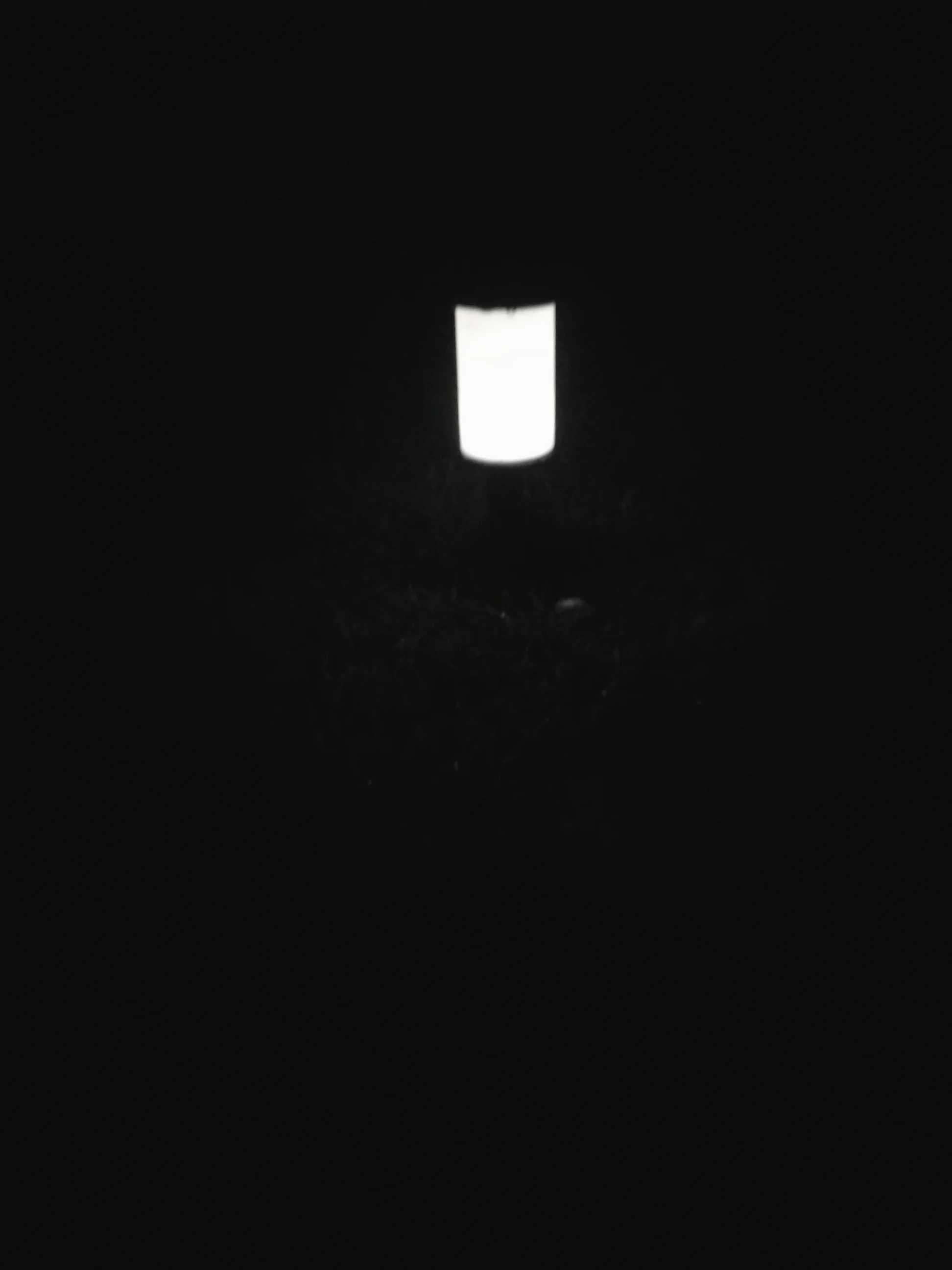Pathway Light