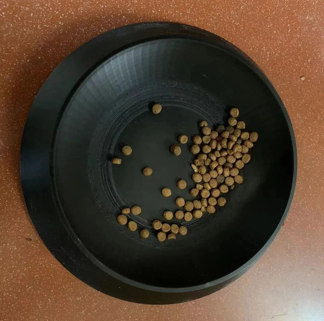 pet bowl