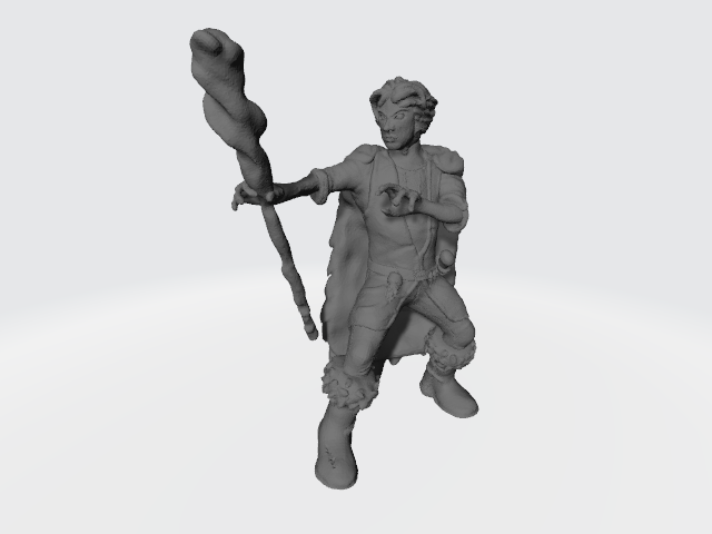 Halfling Druid - Halfling Spellcaster