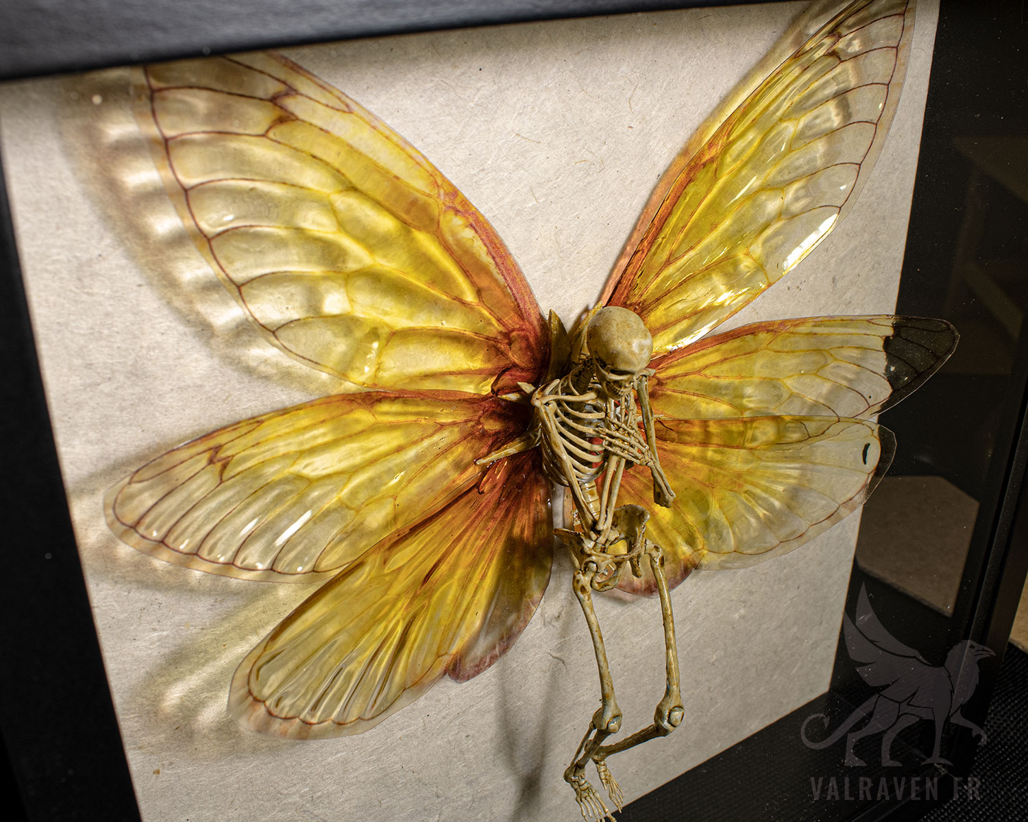Fairy skeleton