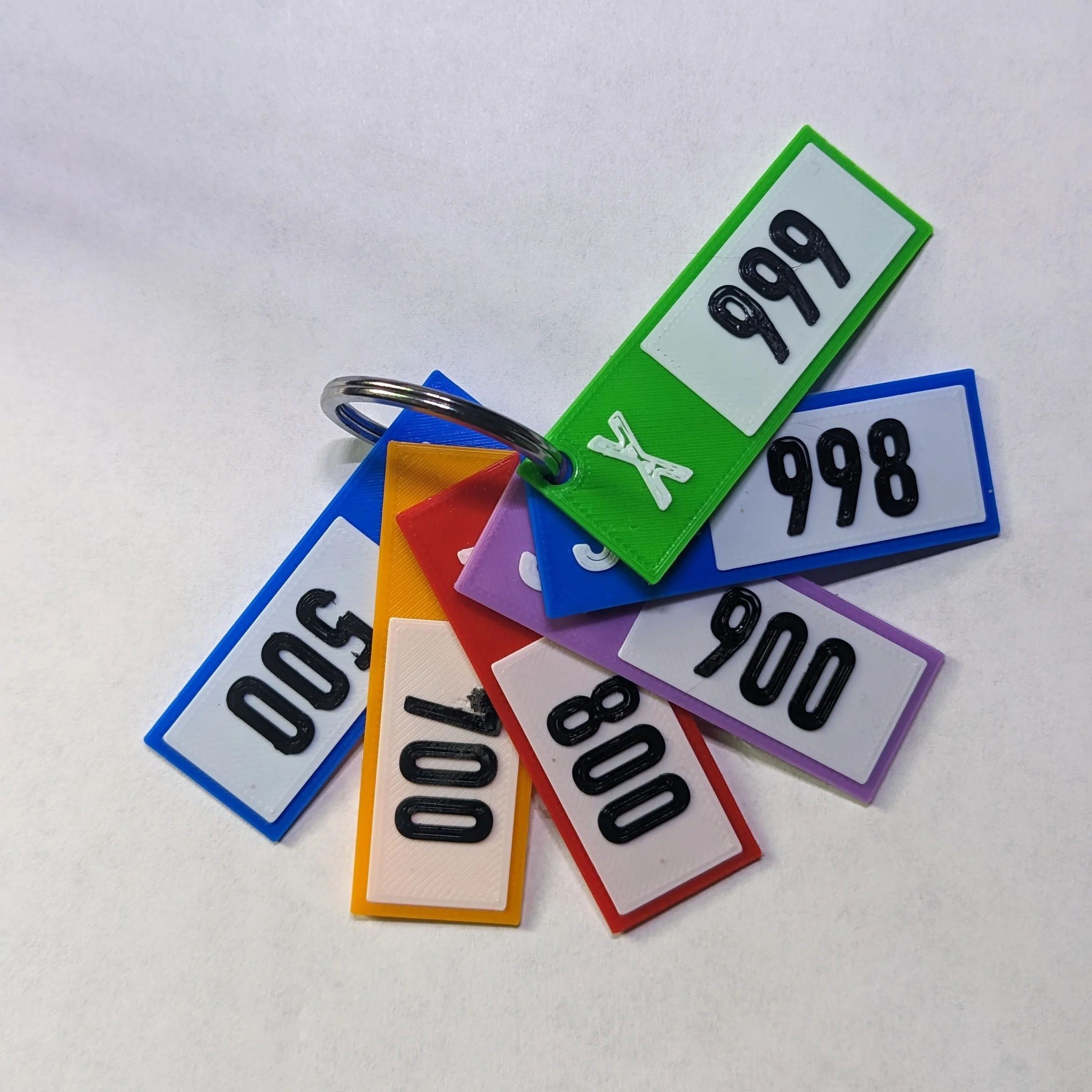Forza Class Keychain Tags