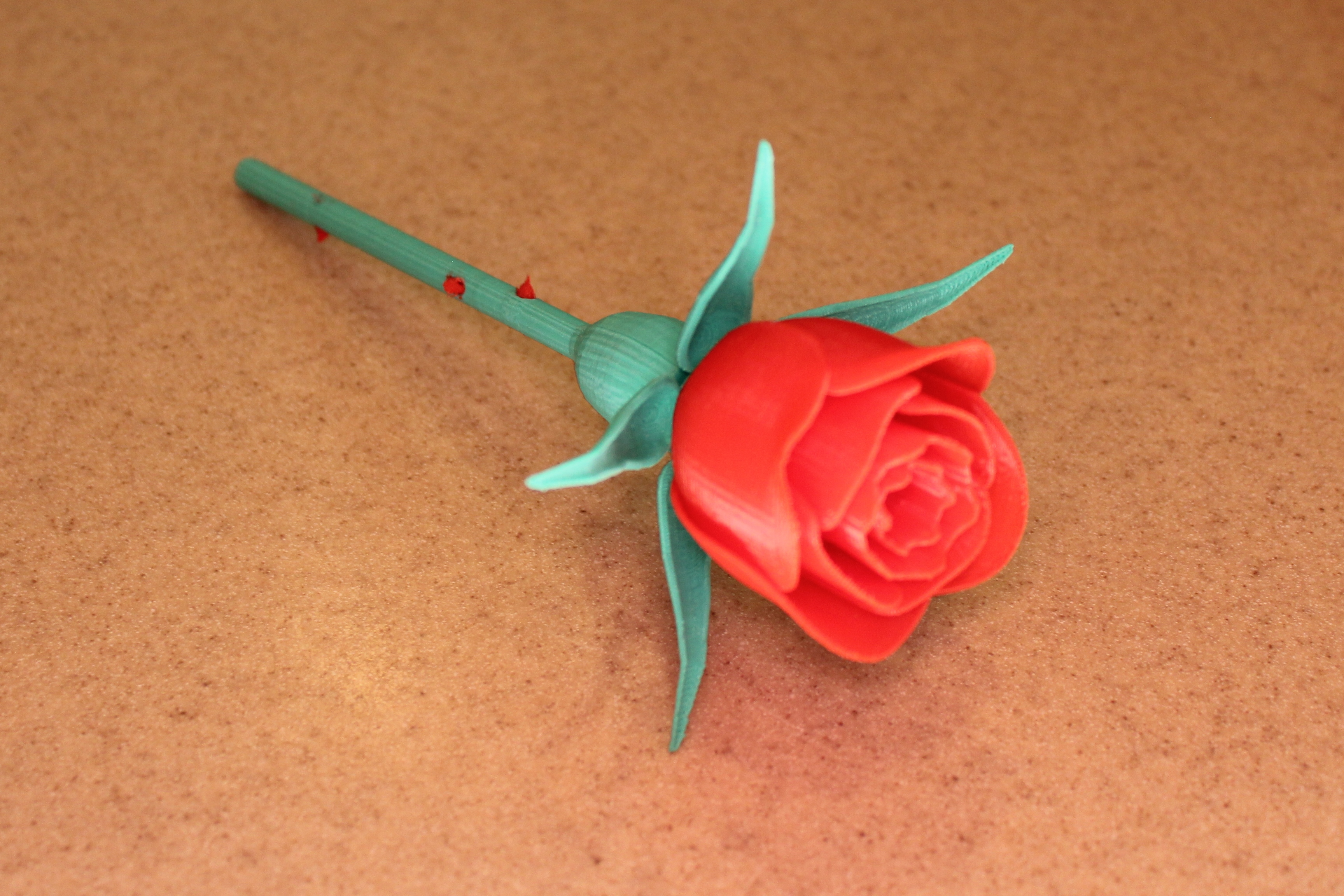 Rose with Stem & Thorns & Sepals & Hip for Valentine's Day