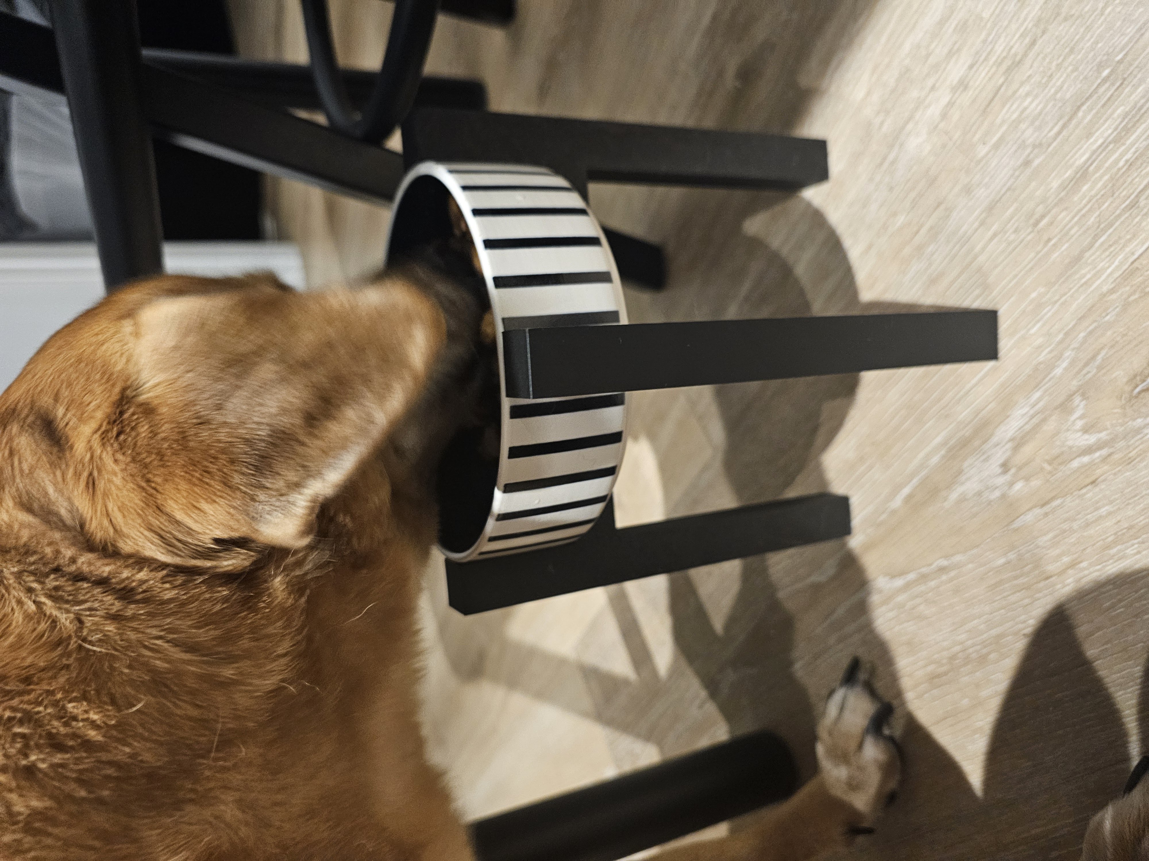 Pet raised bowl