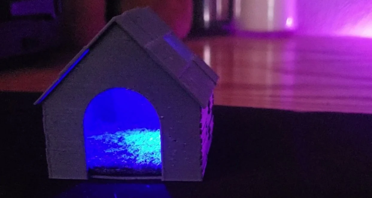 Dog House
