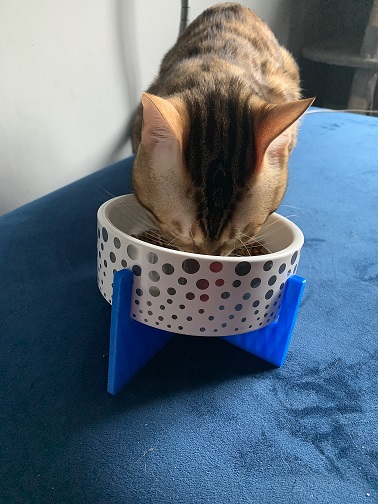 Tilted Cat Bowl Stand