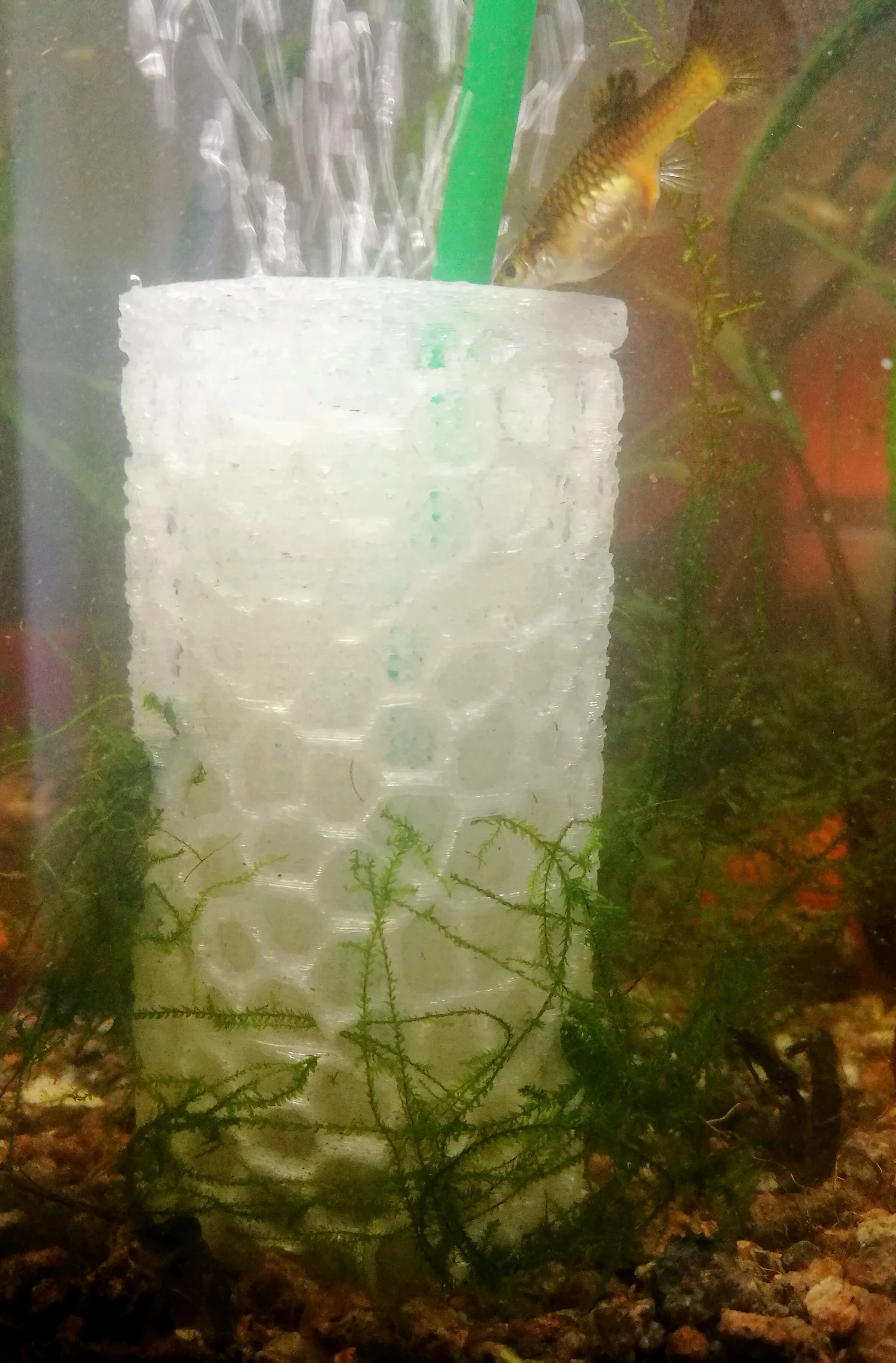 Mossy Bubbler - Fully printable Spongefilter with Voronoi Mossholder