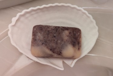 Seashell Soap Dish