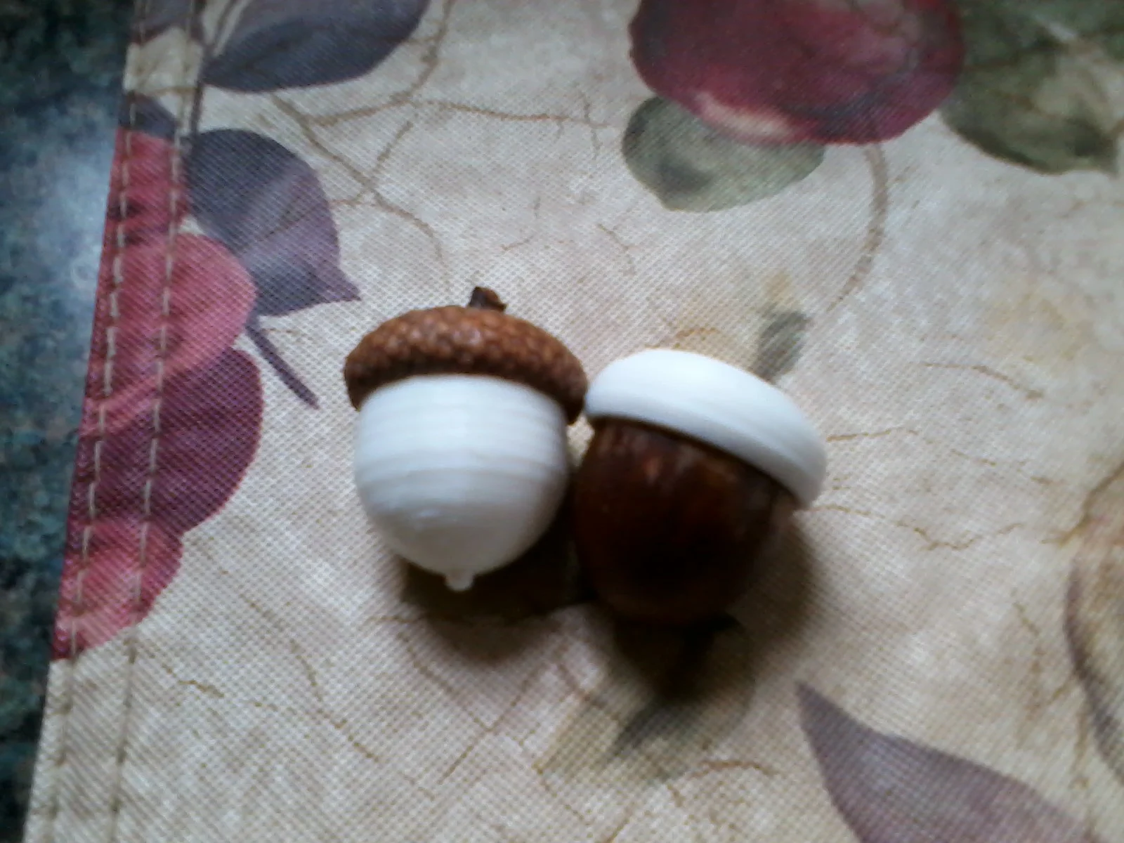 Acorn