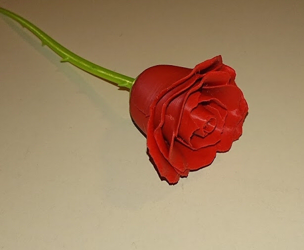 Rose and stem