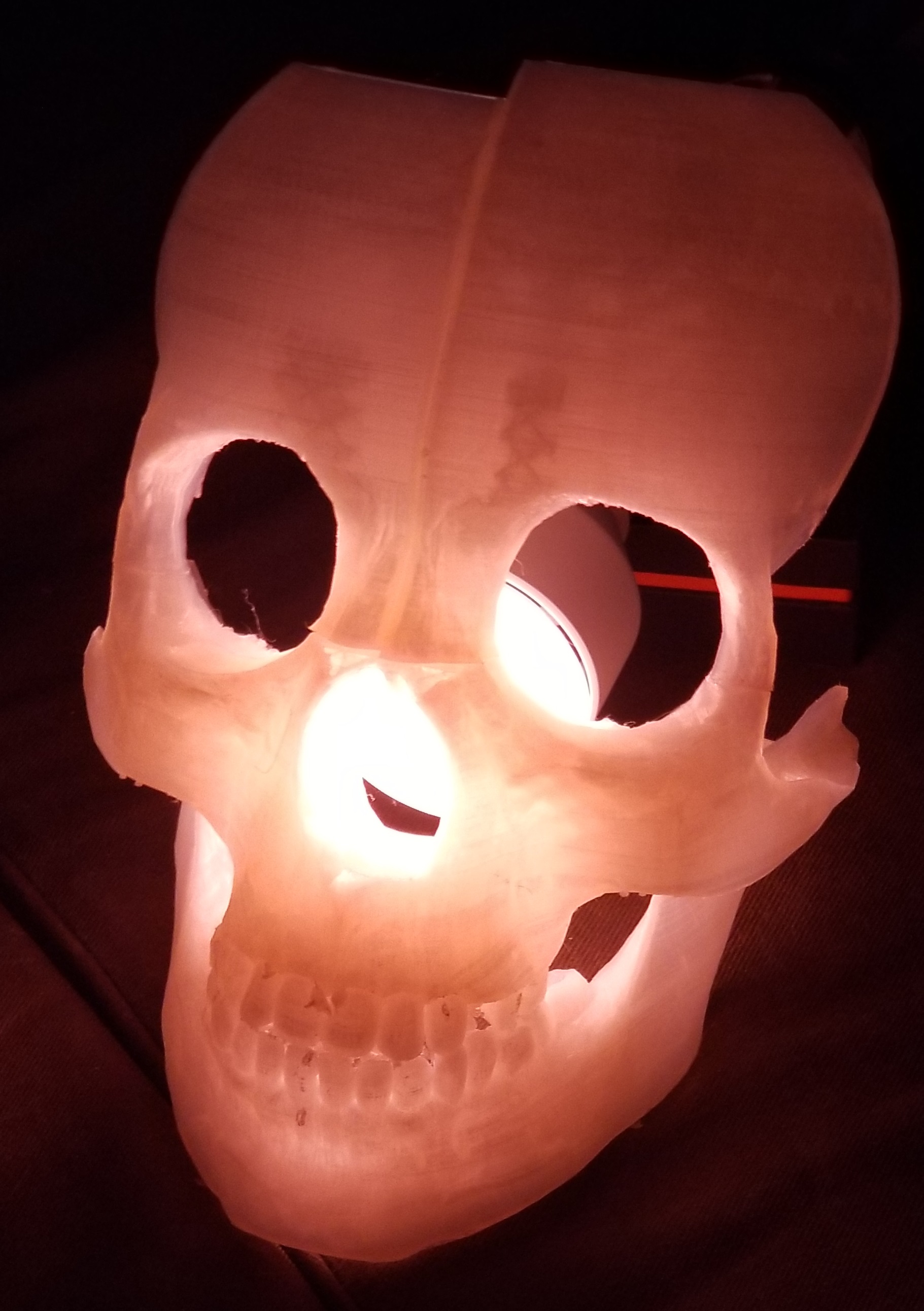 3D printed Skull mask