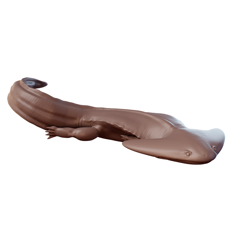 Diplocaulus