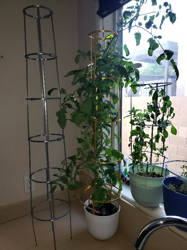 Tomato cage
