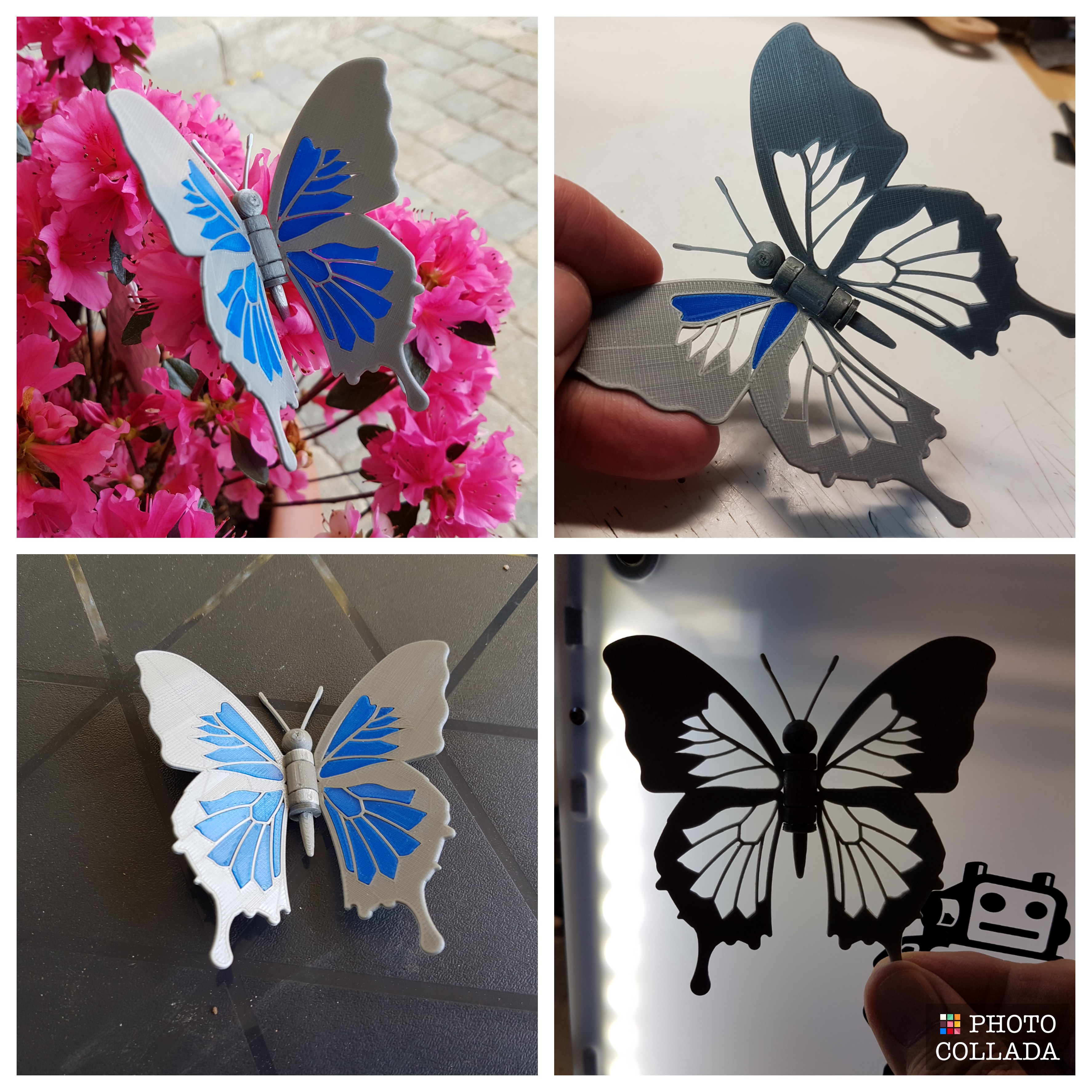 Blue Butterfly - Papillon bleu