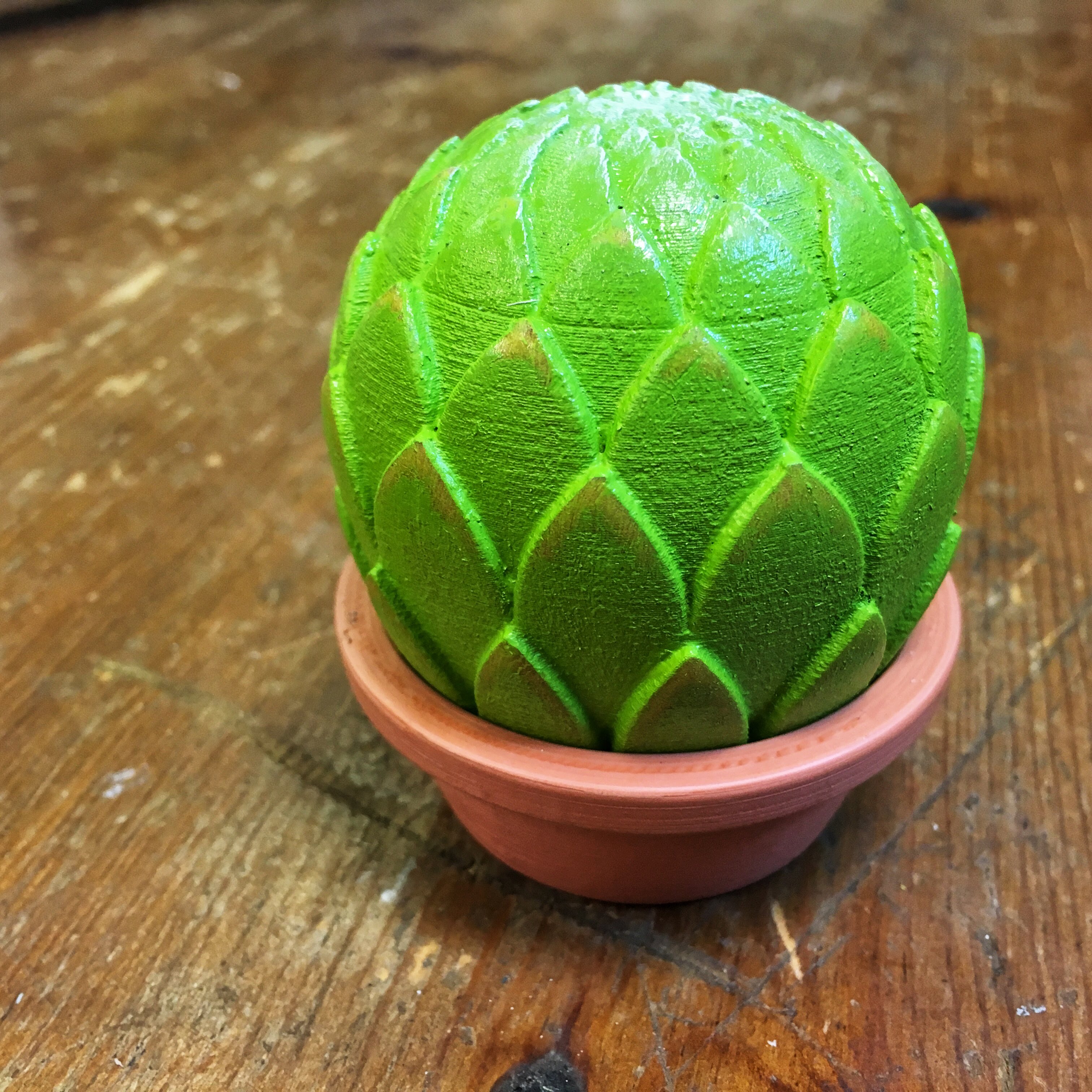 Small potted succulents