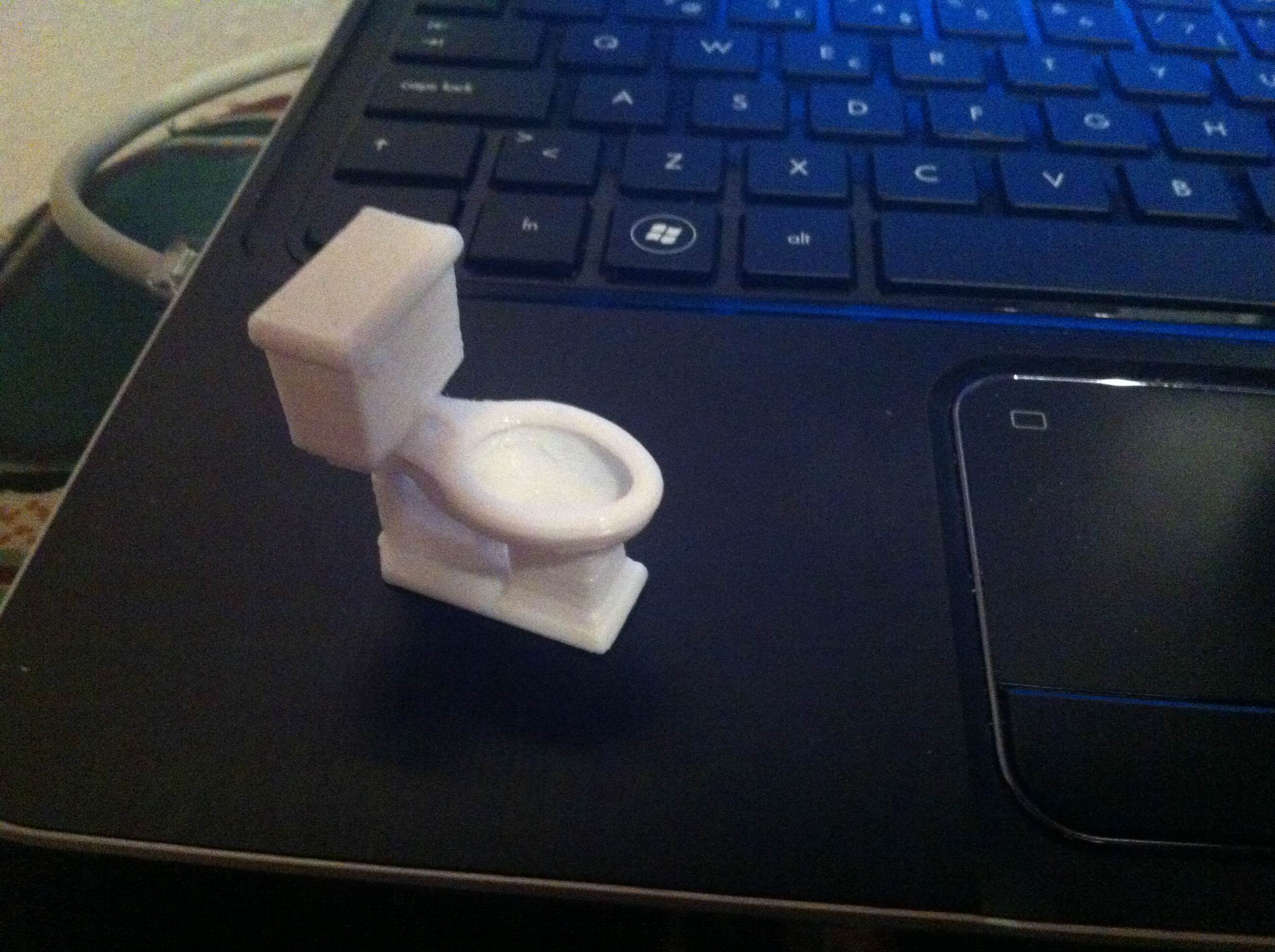 Toilet Keychain