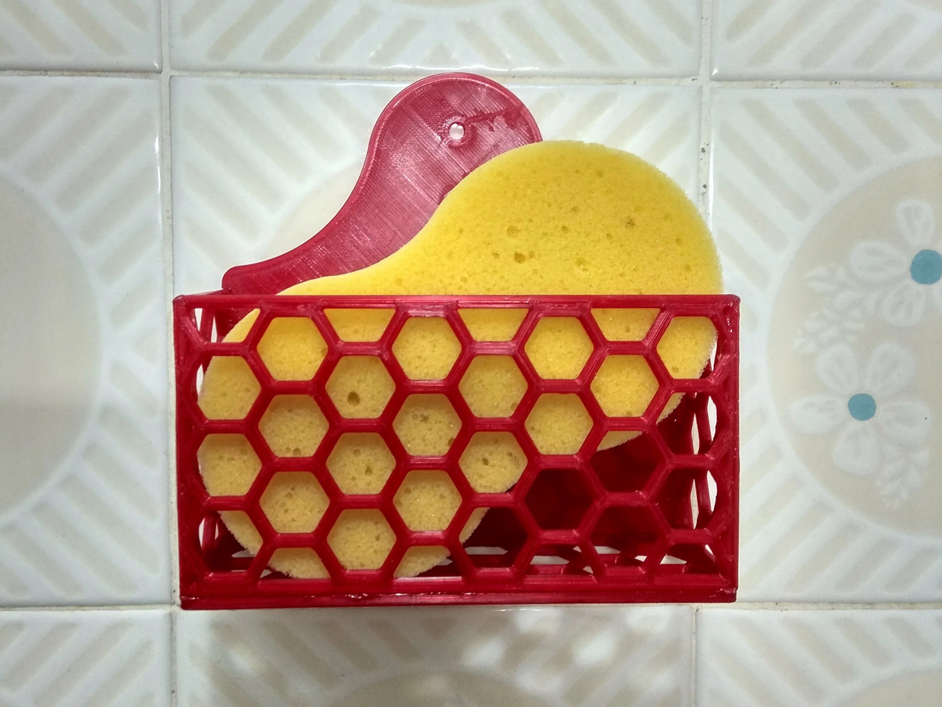 Escurre esponja