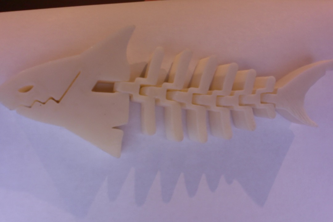 Flexi Shark