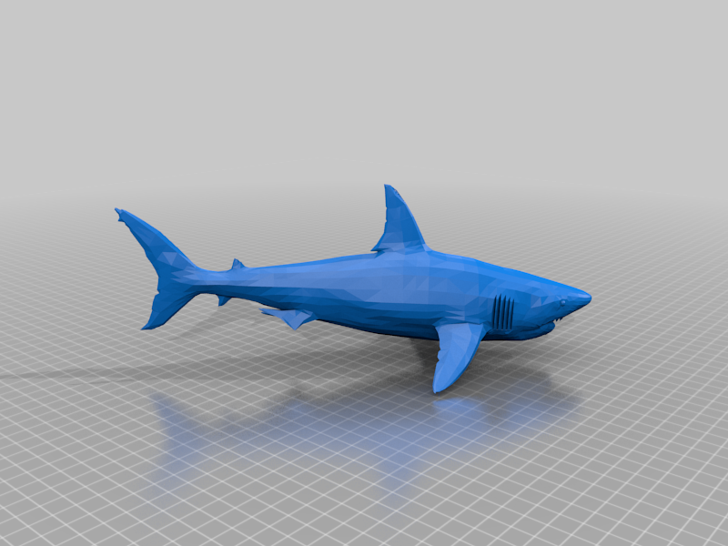 Great White Shark (AKA White Pointer)