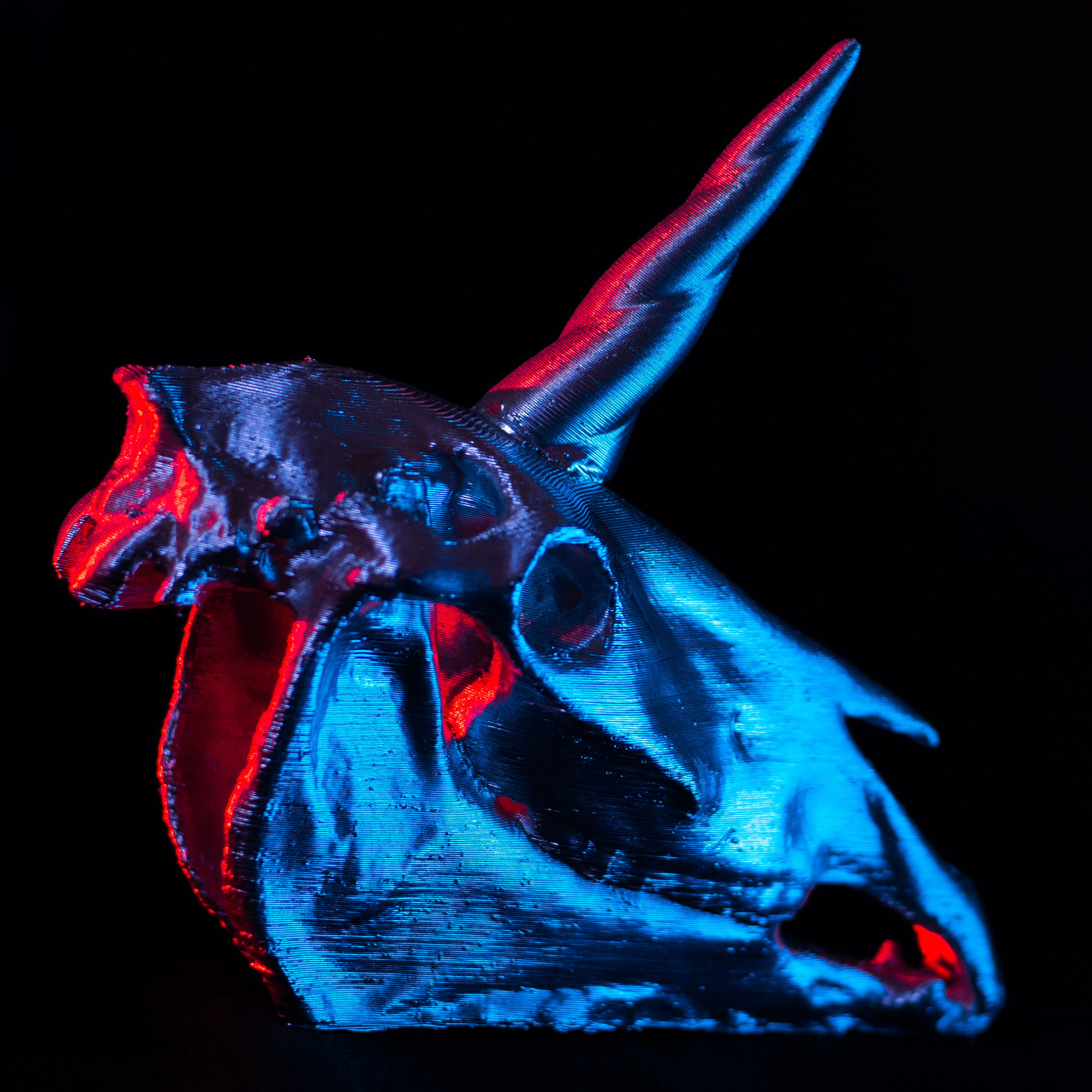 Unicorn Skull