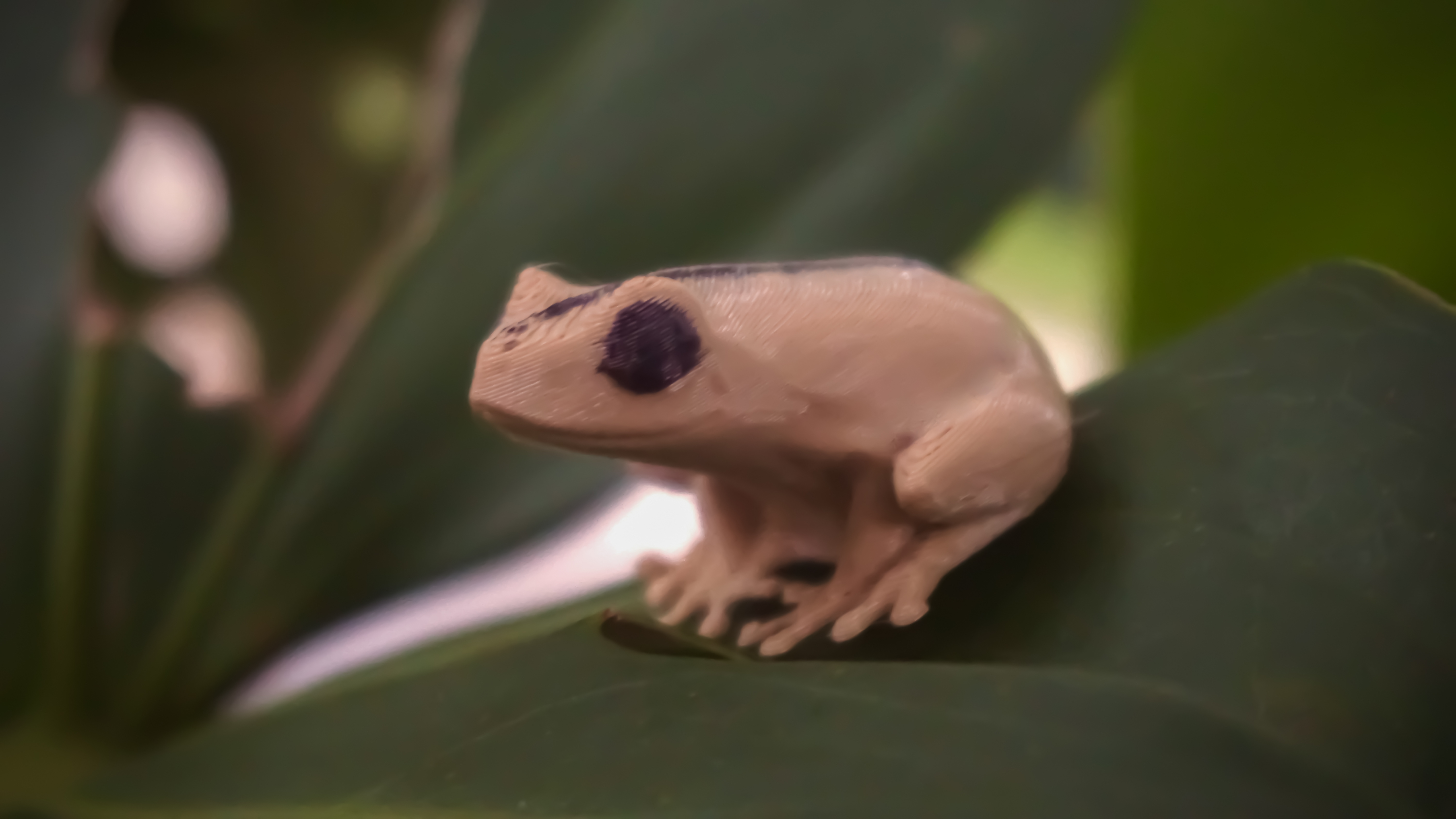 Artificial Coquí