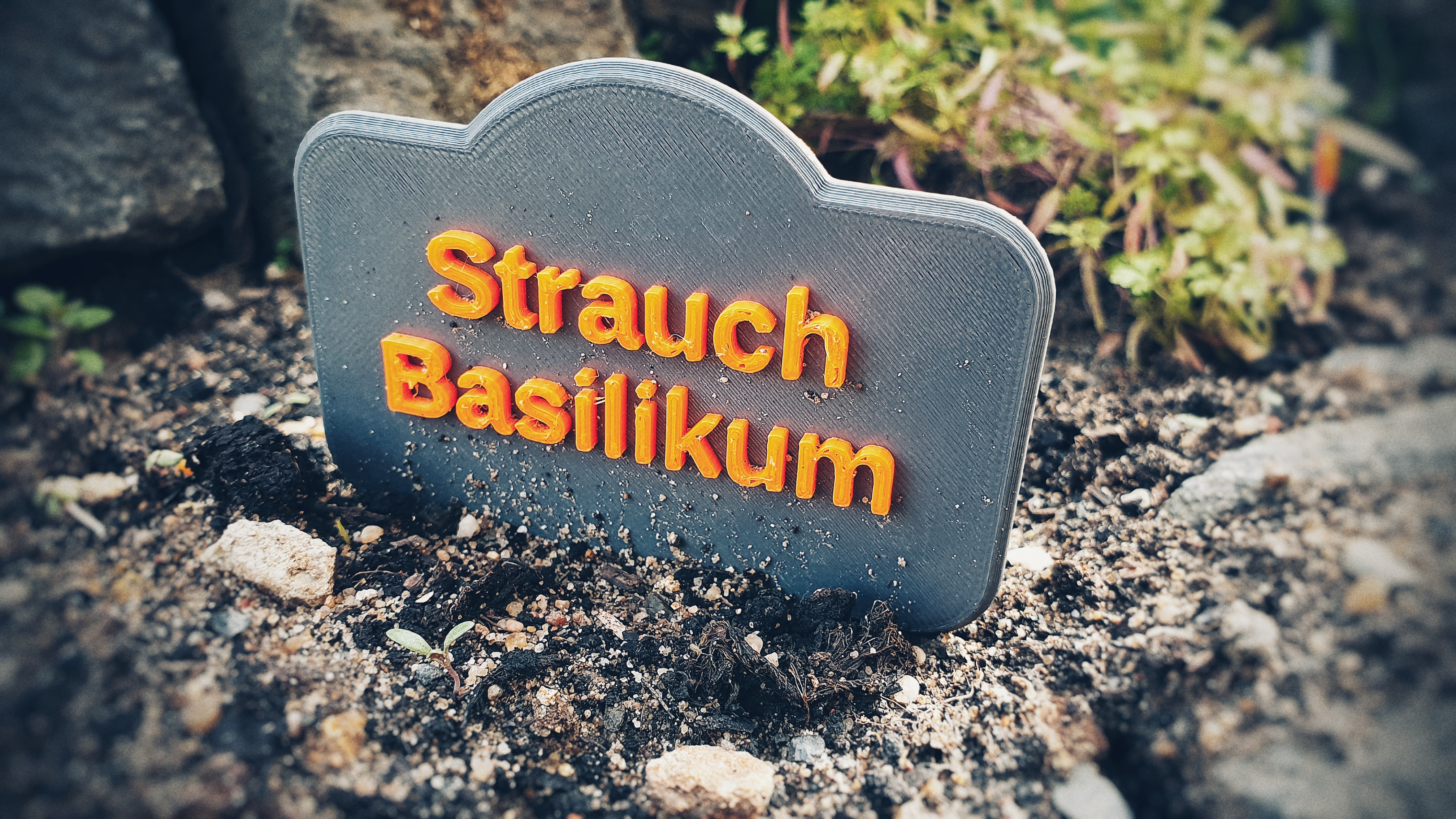 Garden Labels