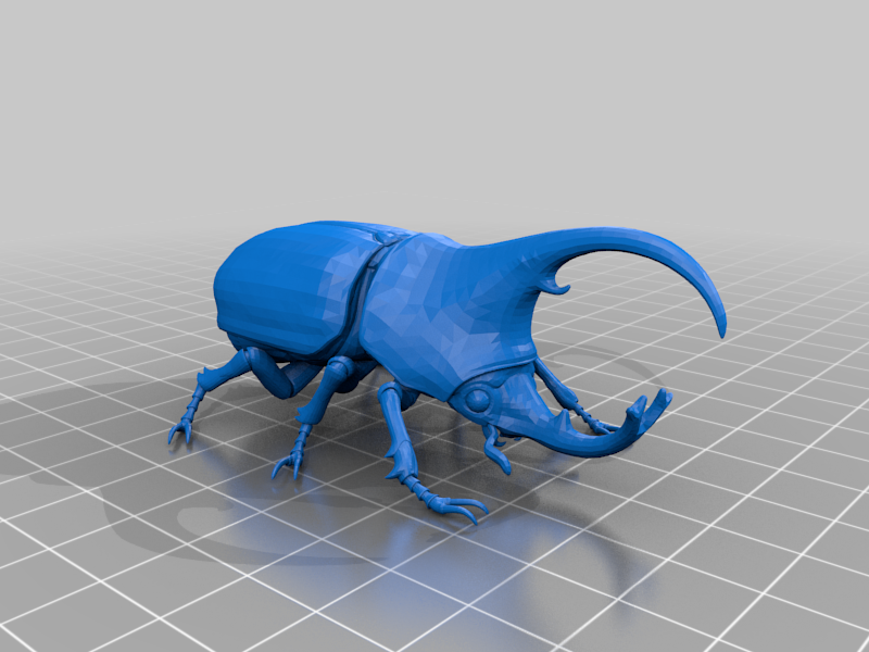 dung beetle