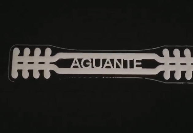 Salva Orejas - AGUANTE
