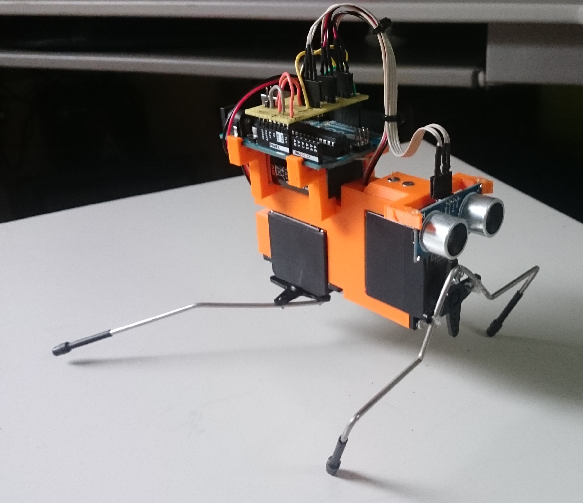 Arduino Insect