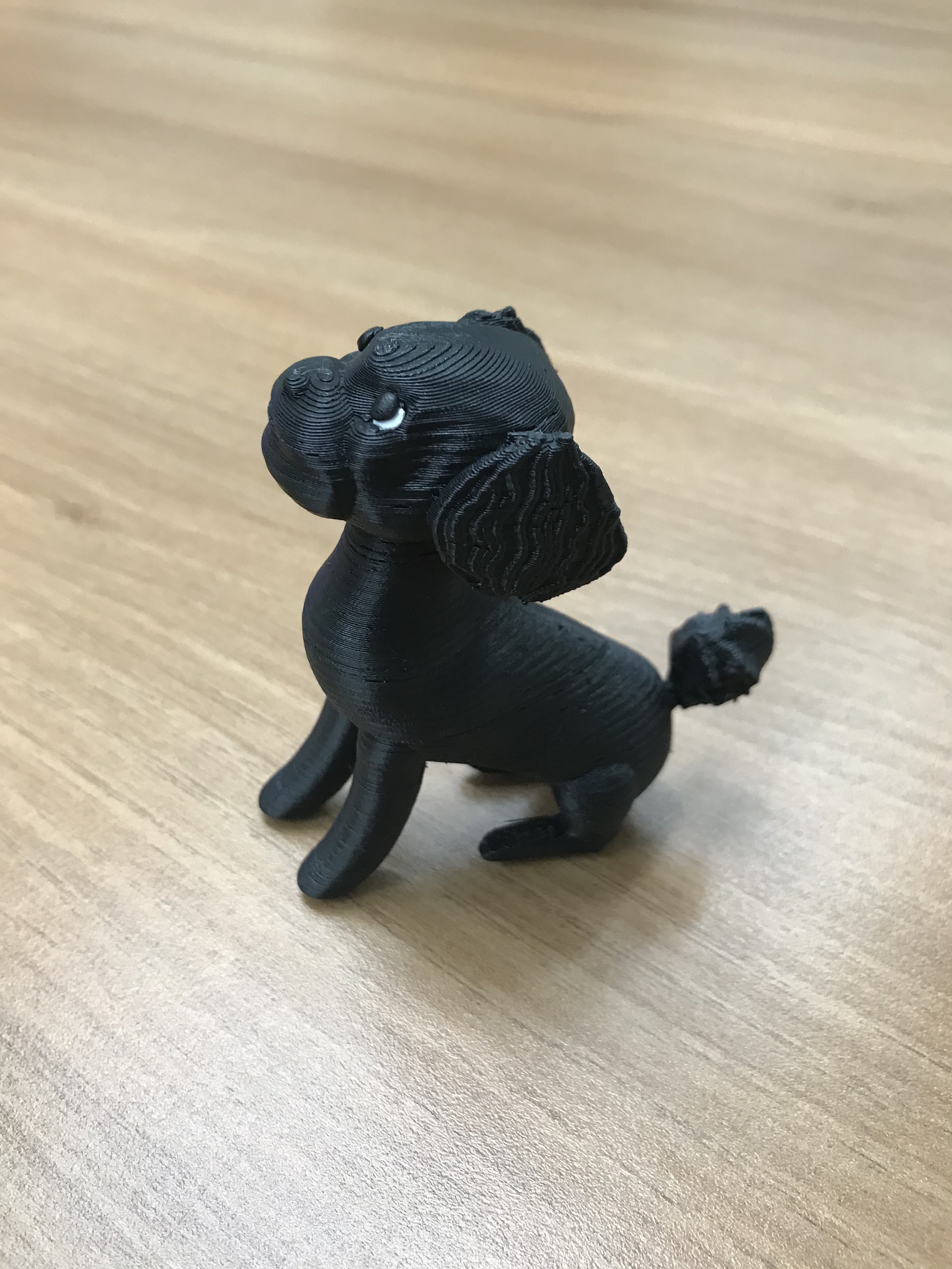 Black Poodle