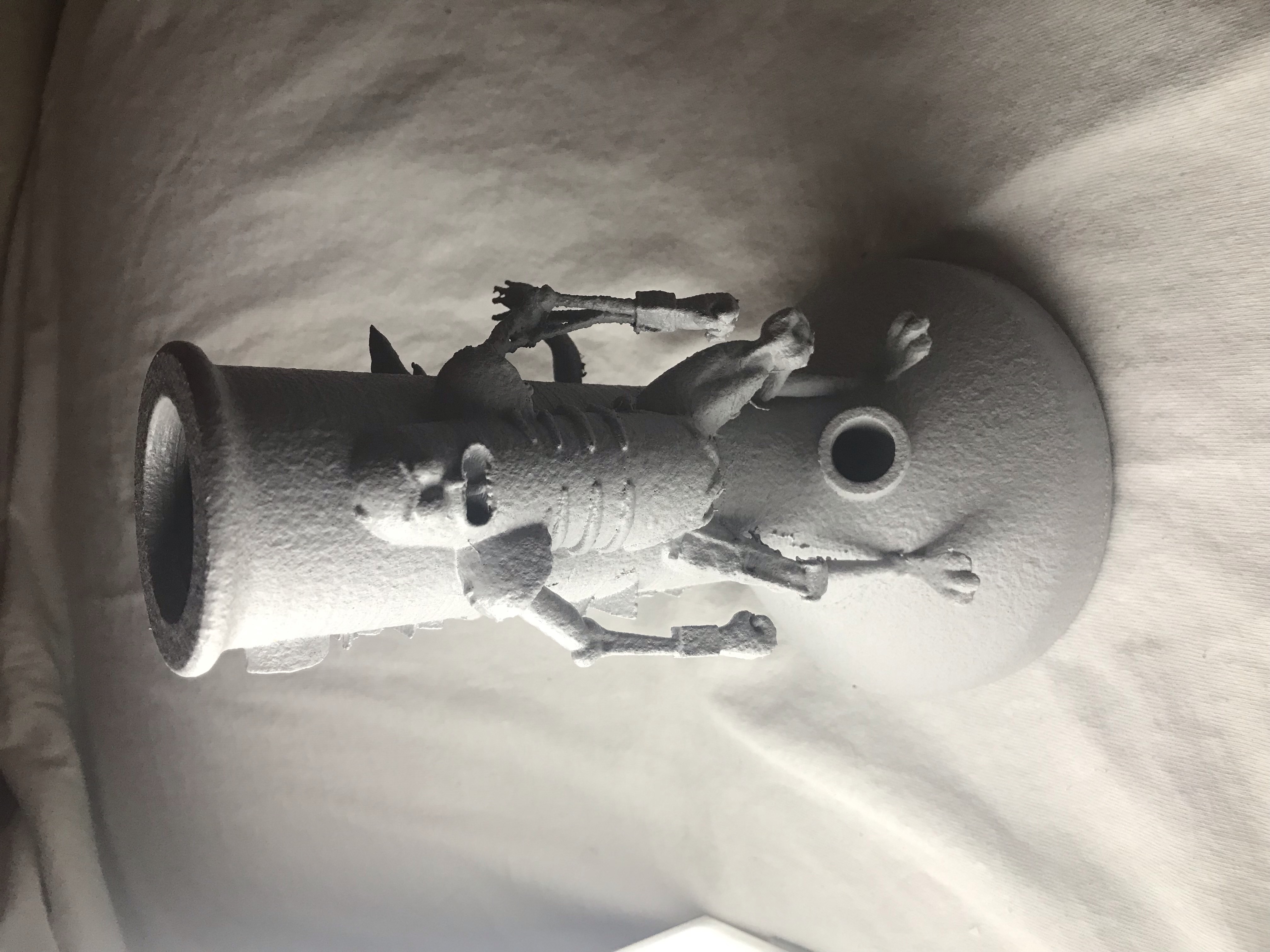 Pickle Rick and Squanchy Water pipe