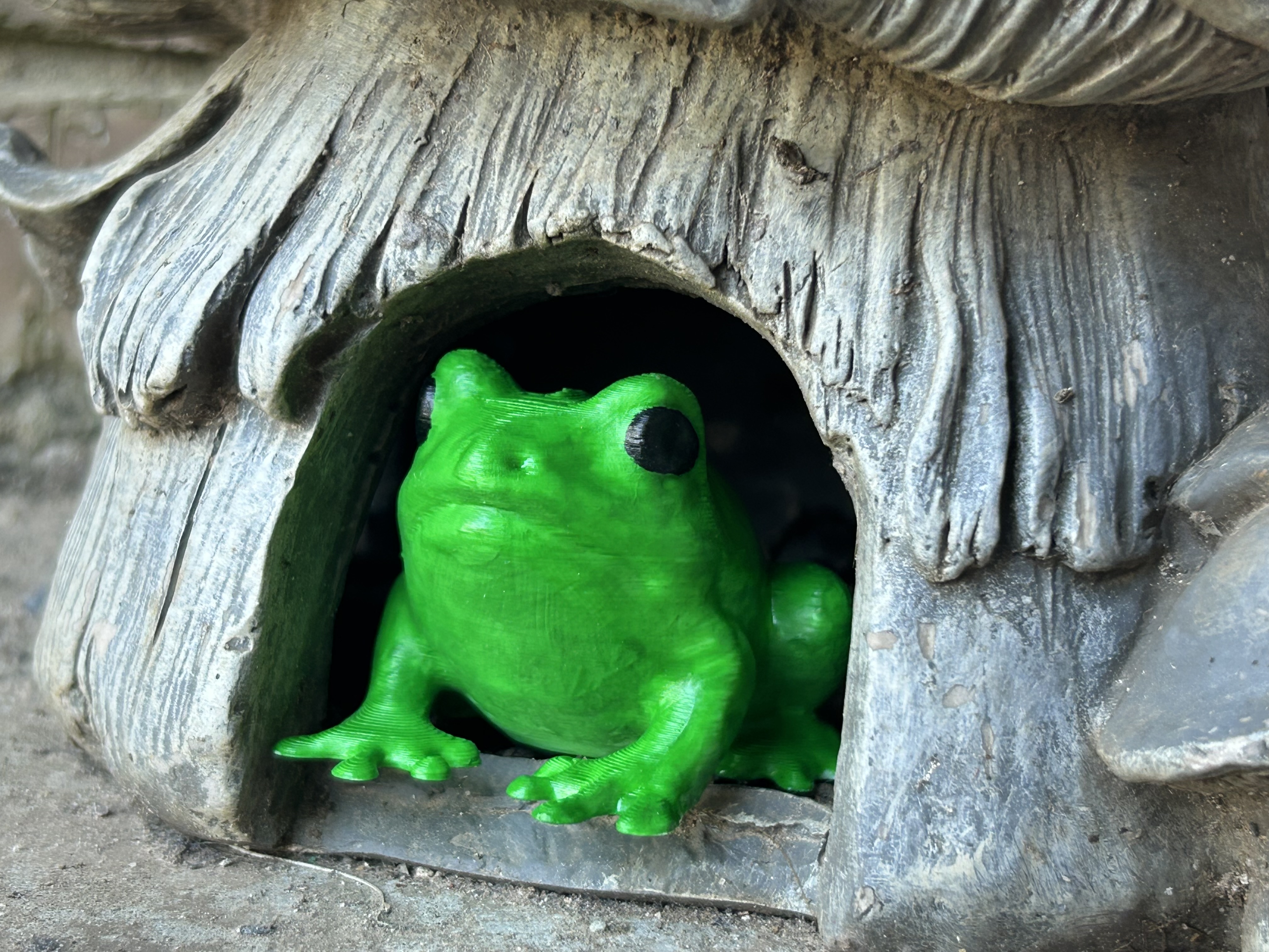 Friendly Frog