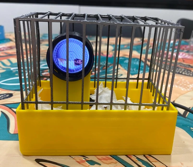 Digipet a digital hamster