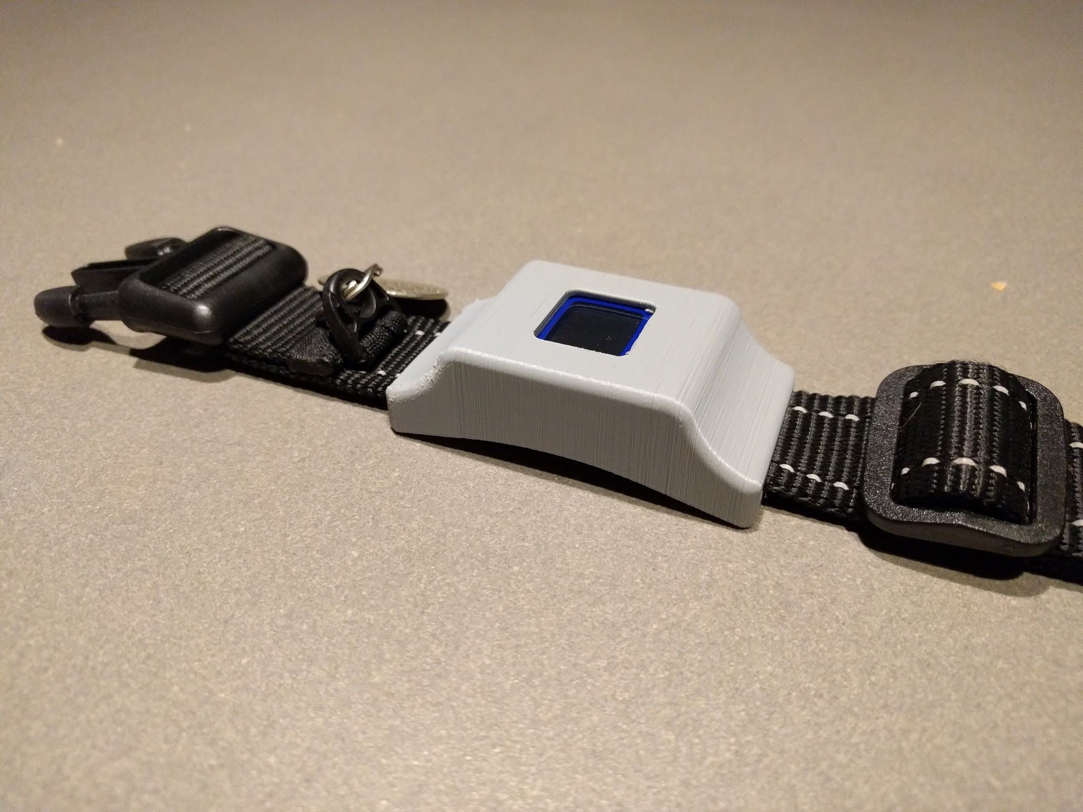 Fitbit Zip box for dog collar (another one)