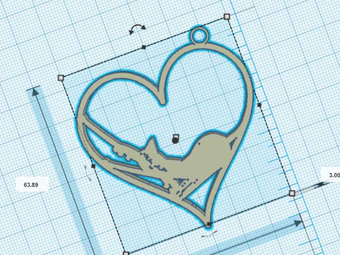 cat heart - coeur de chat