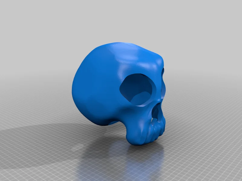 Skull Reptile Hide