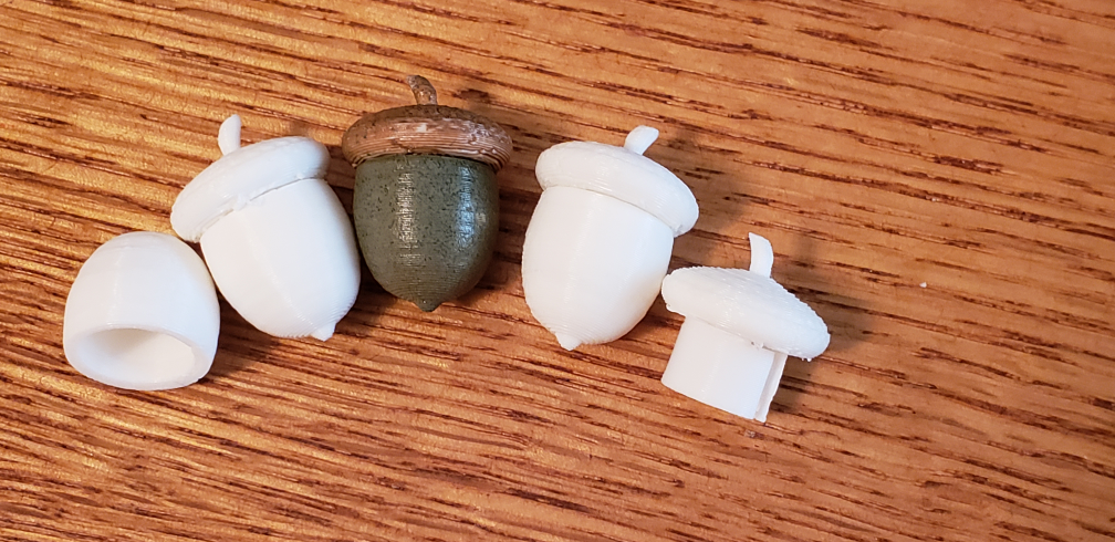 Acorn Geocache