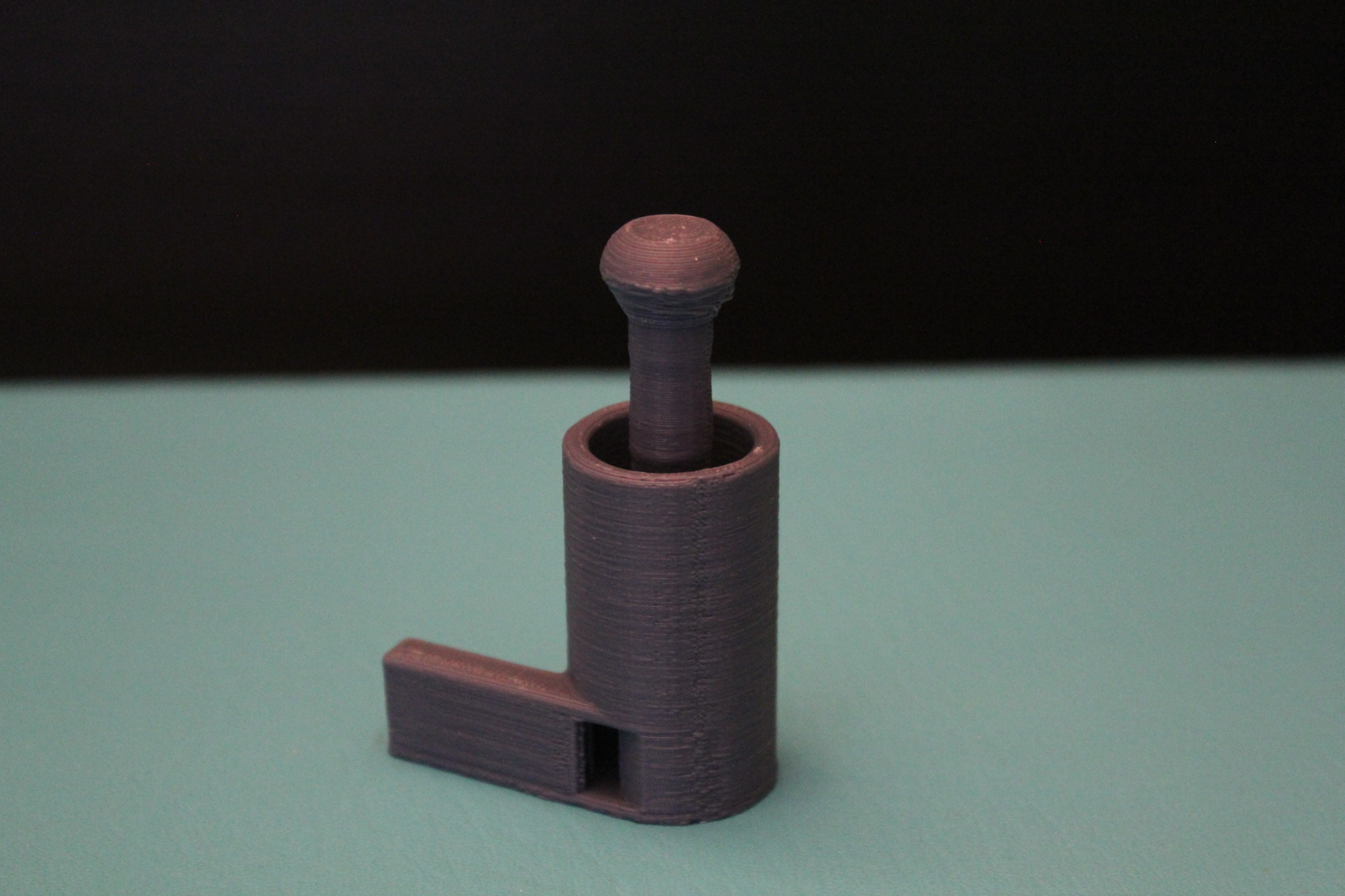 Musical Whistle