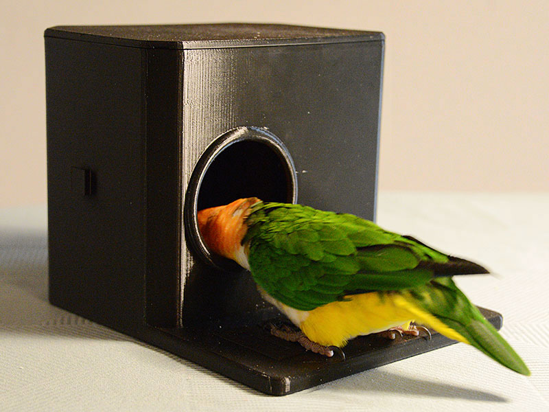 Bird sleeping cabin with porch
