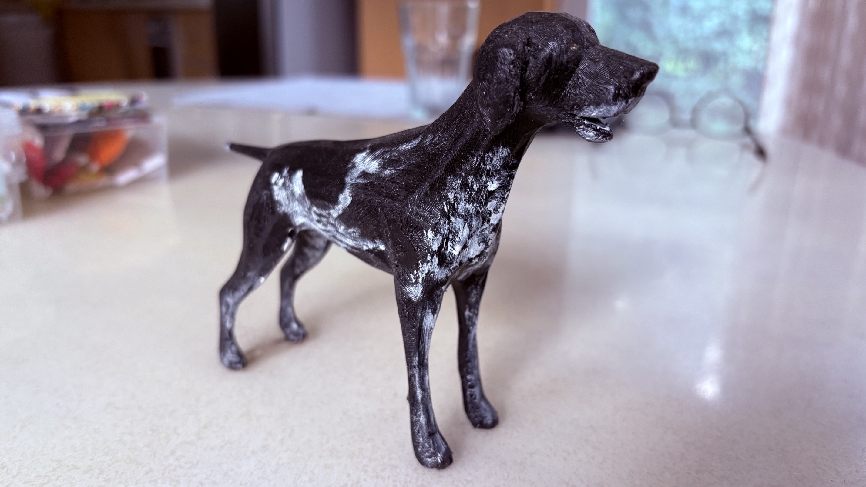 German Shorthaired Pointer (GSP)