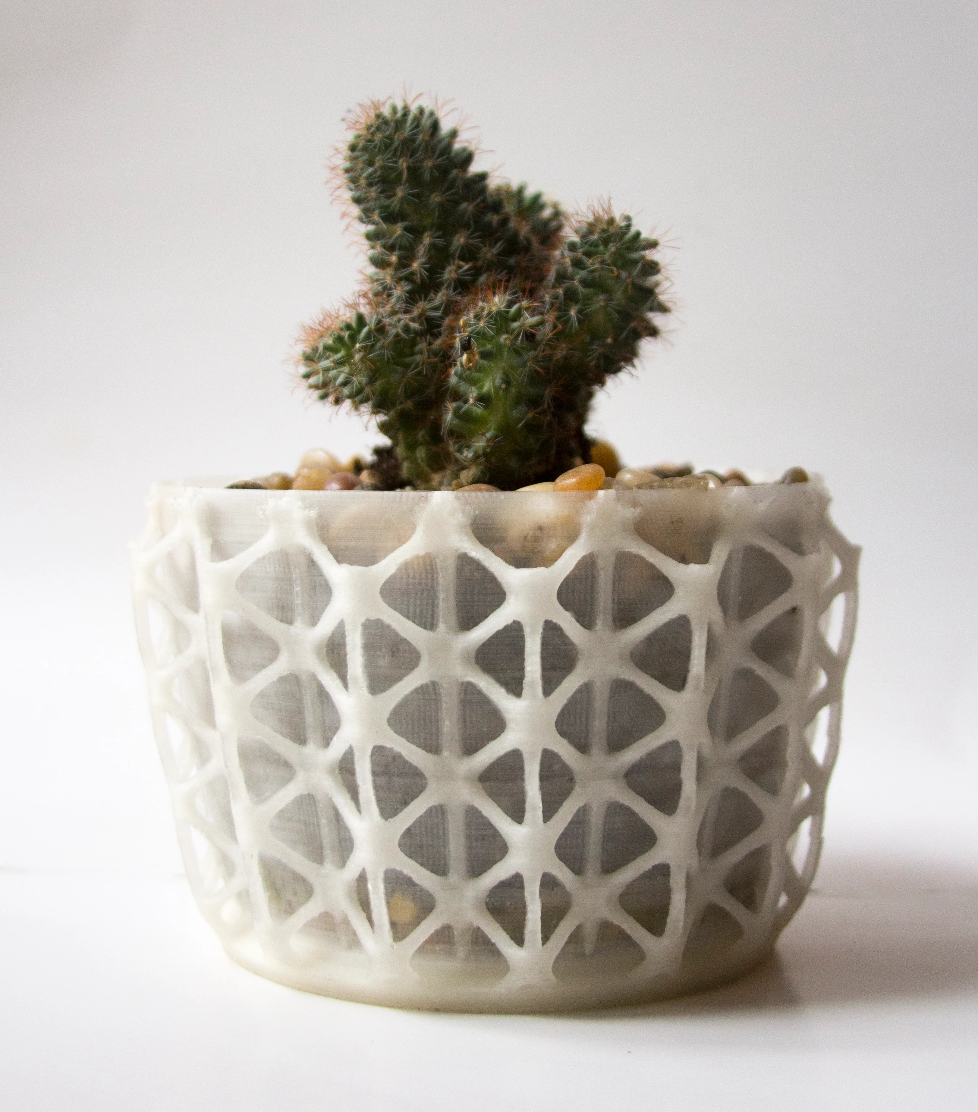 skeleton planter