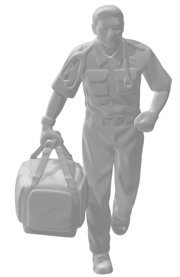 Paramedic hero 1/64