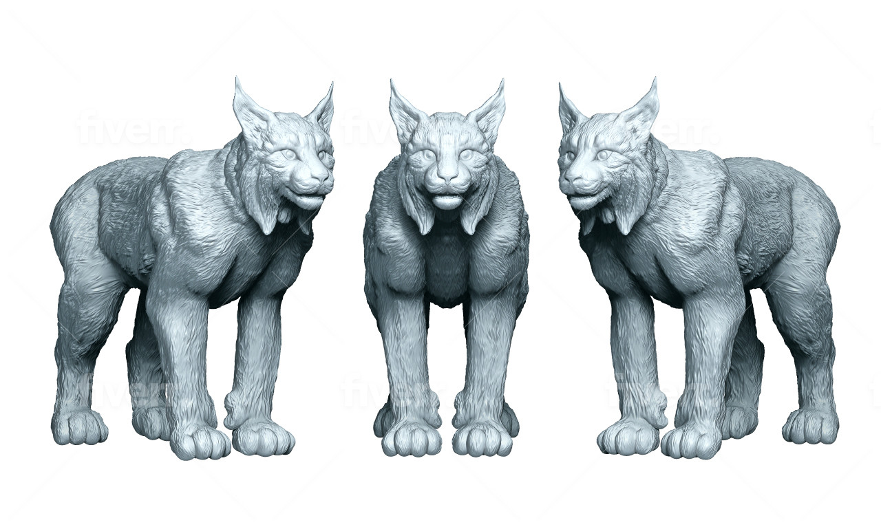 Canadian Lynx