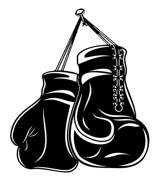 2D Boxing gloves