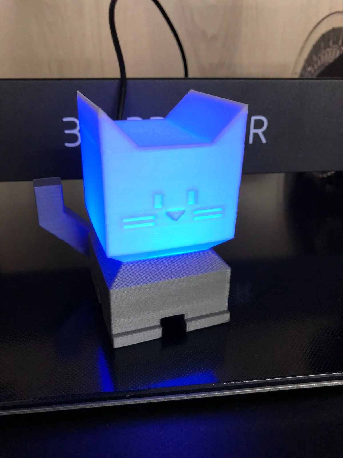 Illumination Cat